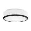 Charlie Flush Mount 1 Charlie Flush Mount -Union Lighting Shop 1583559